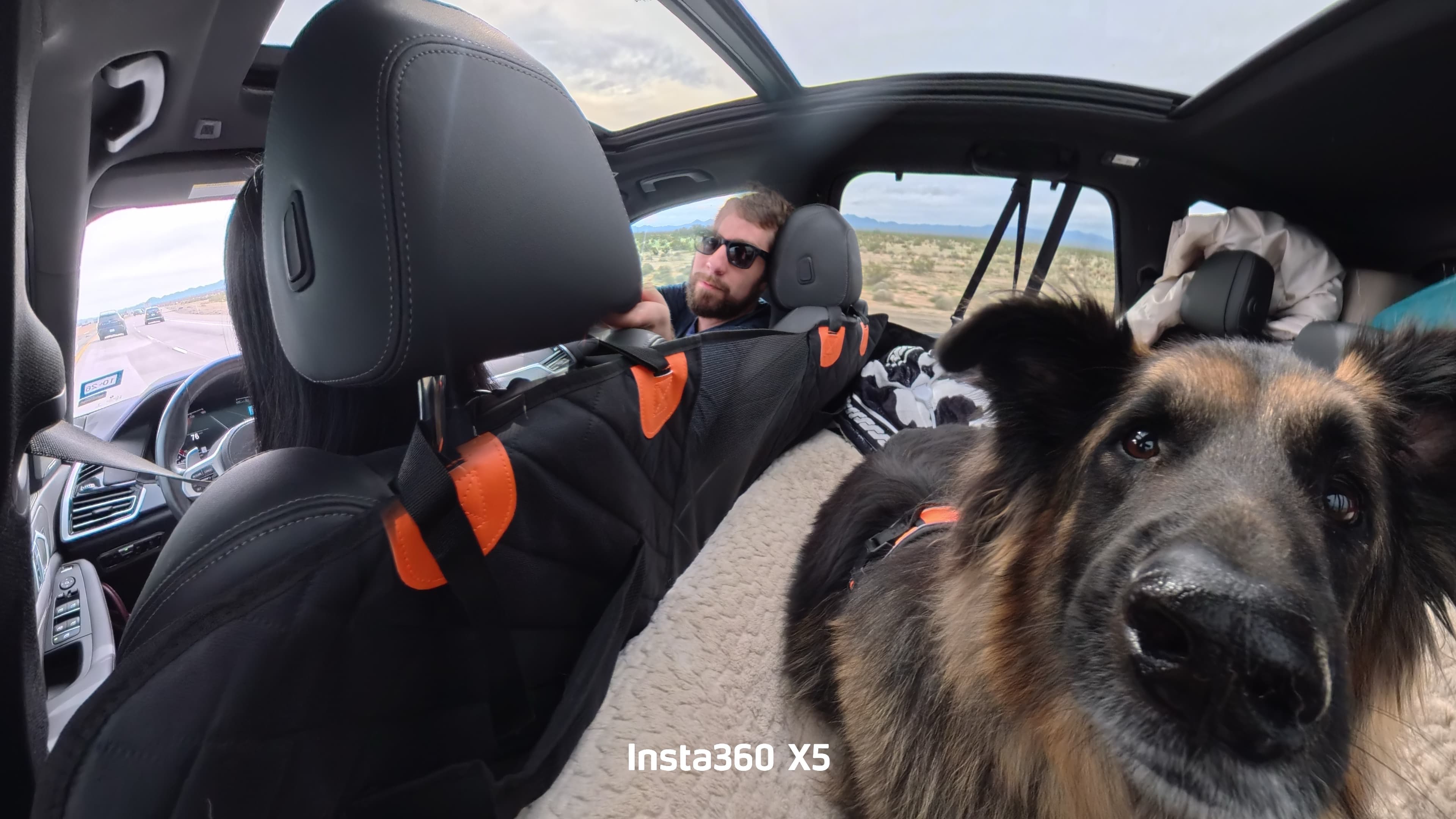 A photo from my Insta360 X5 showing me in the passenger seat of an SUV, and a close-up of my long-haired German Shepherd dog in the back seat